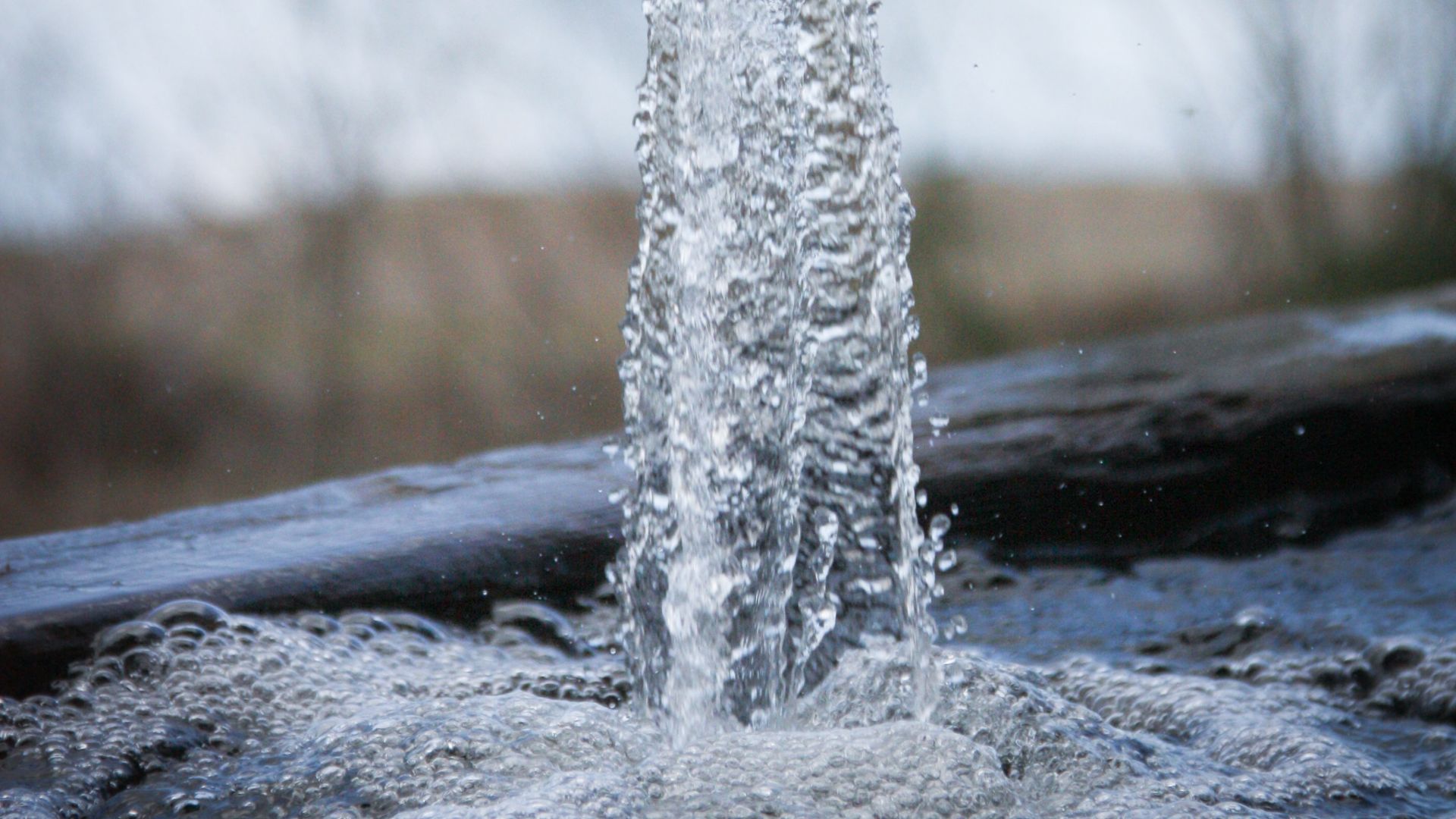 Kalsbeek has been acquired by Normec Group