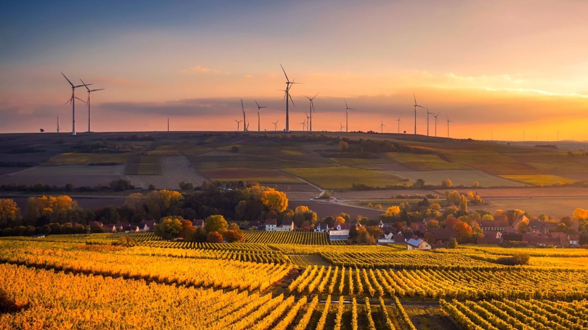 Energix Renewable Energies has issued bonds