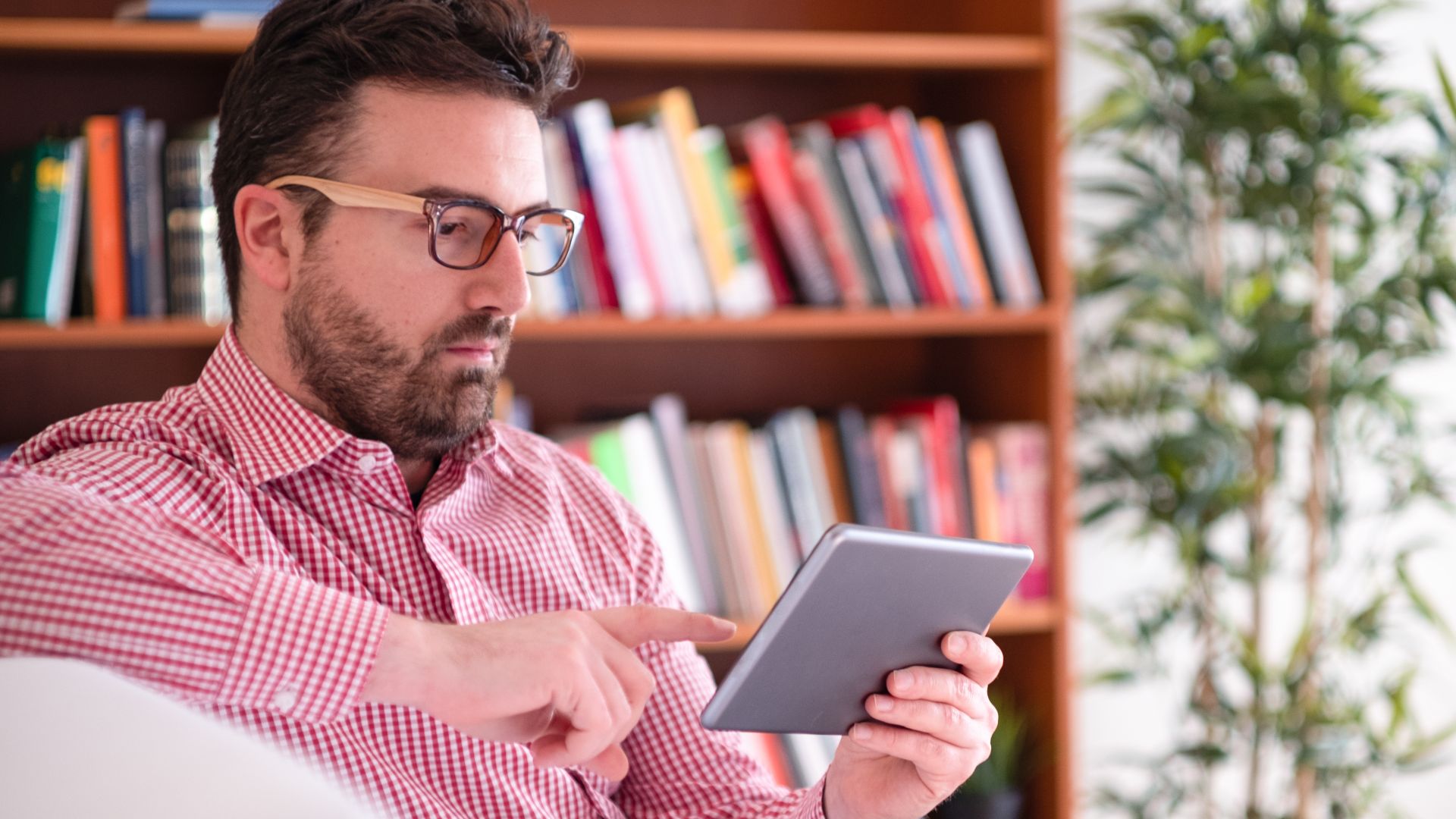 Bookwire enters into a long-term strategic partnership with IPG
