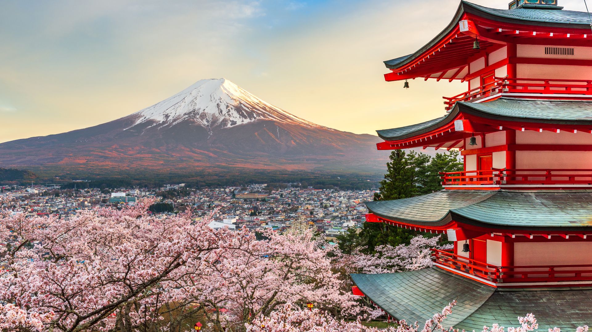 Piper PE and Cool Japan Fund have backed a management buy-out of Inside Travel Group