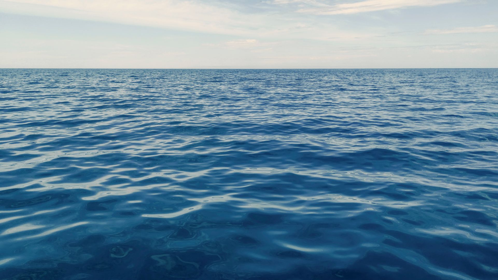 Fiordo Austral has secured a syndicated loan from local banks