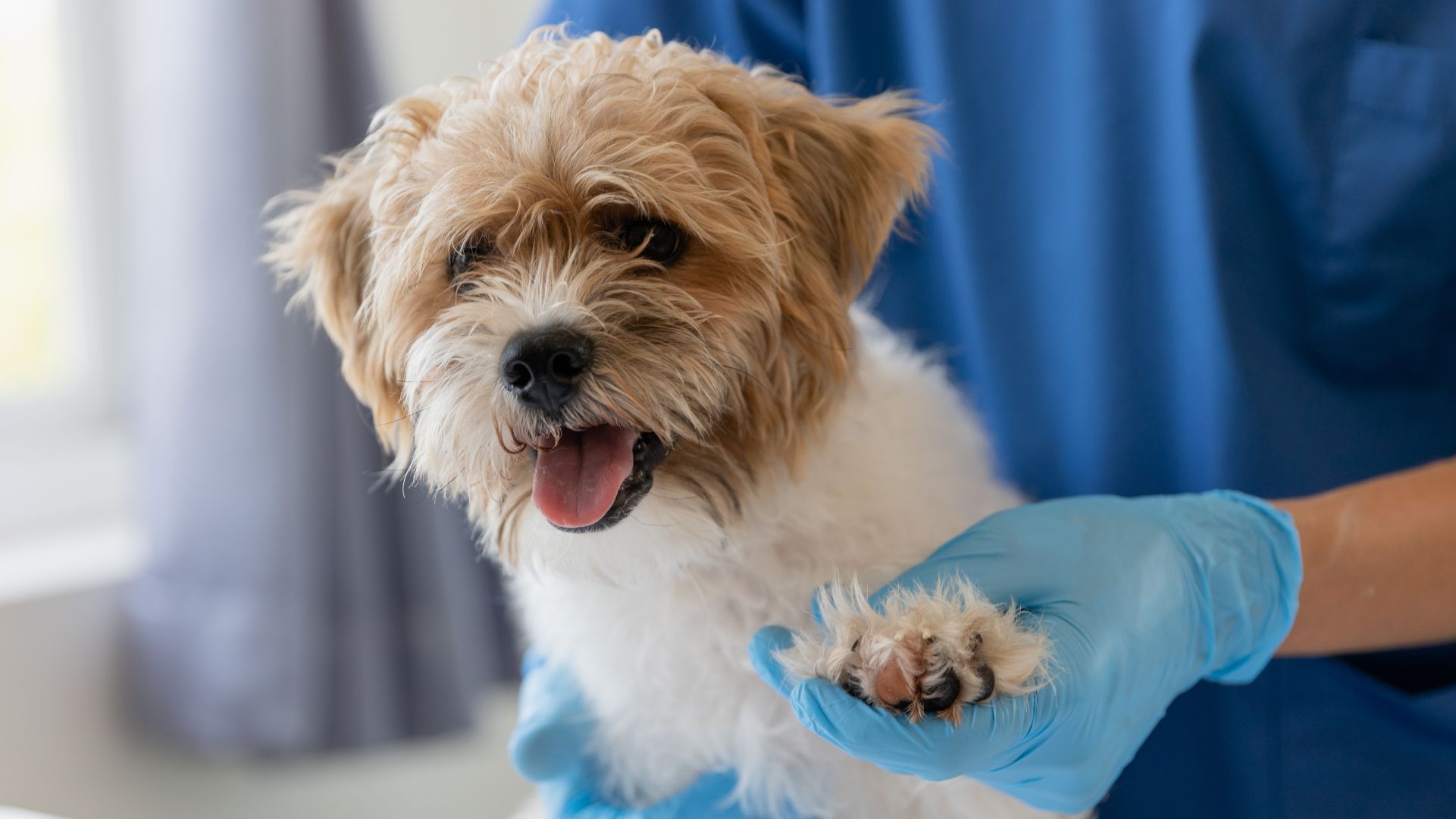 Nuzoa has acquired Sanifauna