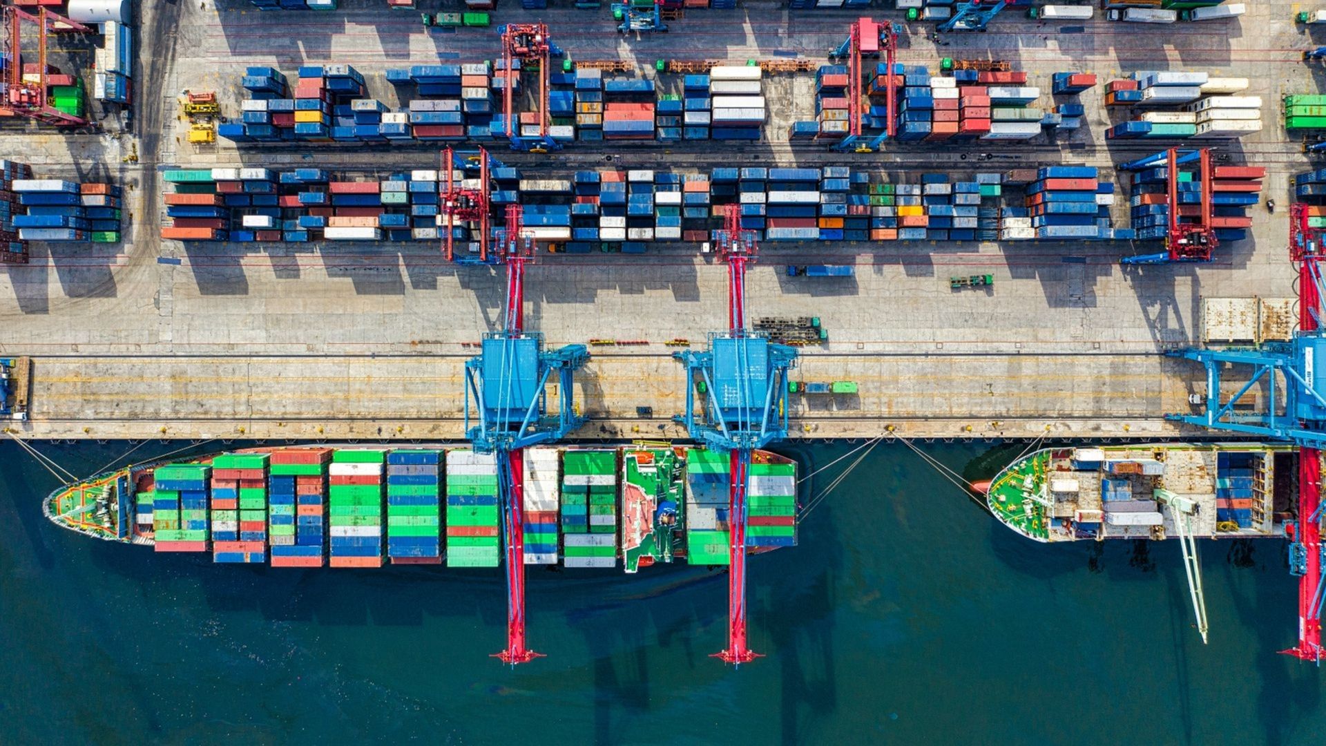 NCL has sold its air and sea freight forwarding business to MOVIT